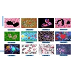 3D games projected on floor