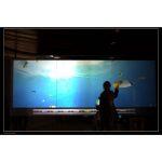 Interactive Touch Film - Image 5