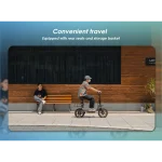 Electric scooter with front and rear double disc brakes