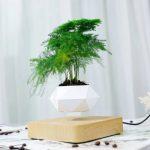 Magnetic floating Bonsai small tree with pot