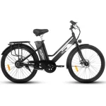 robust electric bike