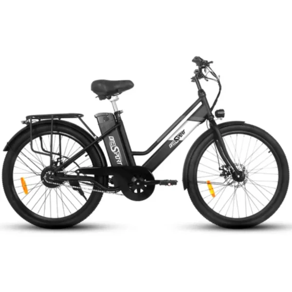 robust electric bike