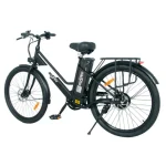 compact electric bike
