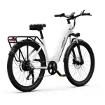 electric bike for daily commuting