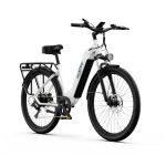 stylish electric bike