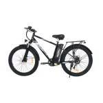 efficient electric bike
