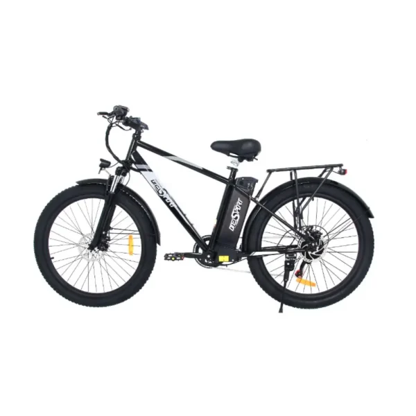 efficient electric bike