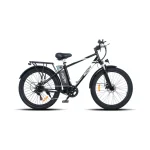 powerful electric bike
