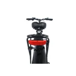 comfortable electric bike