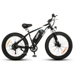 compact electric bike