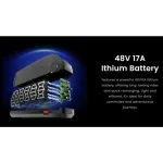 electric bike with a high-capacity battery