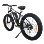 electric bike with a reliable braking system