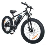 electric bike with fat tires