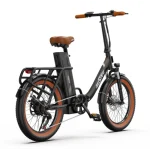 robust electric bike