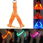 Orange Led Dog Harness Anti-Lost Charged by USB