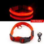 Led Dog Collar Anti-Lost Charged by USB orange collar