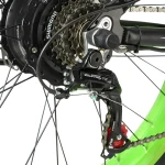 E-bike with Shimano 21-speed cassette.