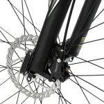 E-bike with hydraulic disc brakes.