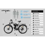 economic electric bike with powerful dual motors