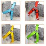 Led Dog Harness Anti-Lost Charged by USB that you can wear on dogs