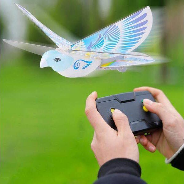 rc swallow bird