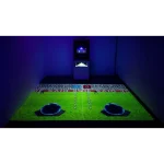 a professional sports system