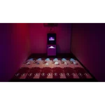 an interactive sports system