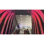 Flexible LED module that can decorate malls
