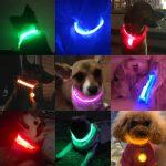 Led Dog Collar Anti-Lost Charged by USB in various colours