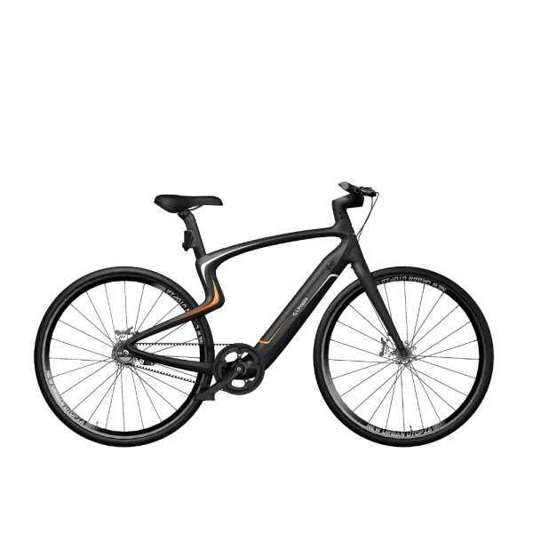 Awarded e-bike
