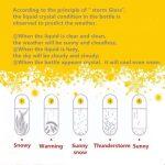 Weather Forecast Predictor Crystal Bottle with Colorful LED light - Image 7