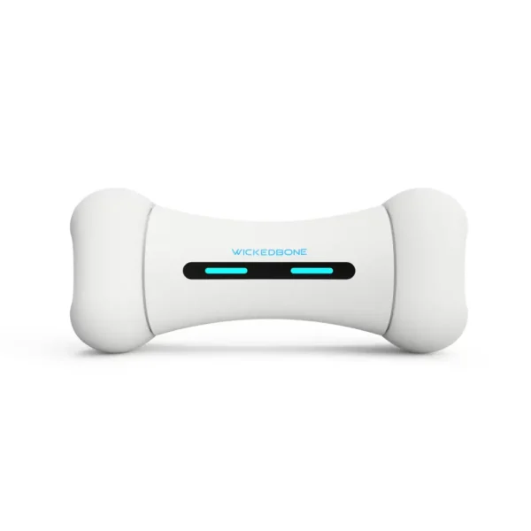 interactive dog toy