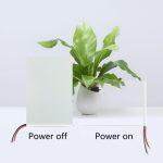 Smart Colorful Film for Windows and Glazing - Image 3