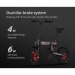 cheap and quality electric bike with dual disc brake system