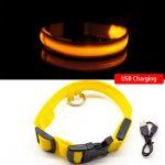 Led Dog Collar Anti-Lost Charged by USB yellow collar
