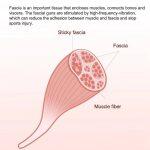 Yunmai Smart Massage Gun for Pain Relief and Muscle Relaxation - Image 9