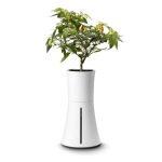 Botanium Automatic Watering and Soil-Free Growing Hydroponic Pot