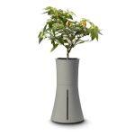 Botanium Automatic Watering and Soil-Free Growing Hydroponic Pot - Image 9