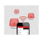 Playbulb Led Electric Candle Flameless and Scented - Image 2