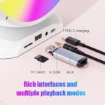 Karaoke with many connection ports