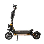 electric scooter with powerful dual motors