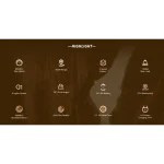 electric scooter with high-end features