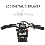 electric bike with multifunctional LCD
