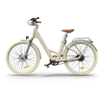 powerful electric bike