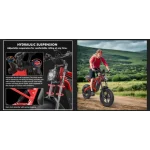 comfortable electric bike