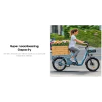 cargo electric bike for long distances