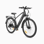 adaptable electric bike