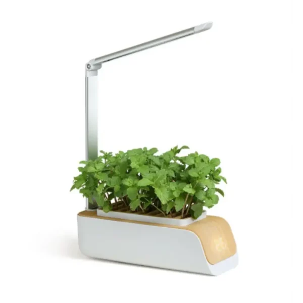 automatic hydroponic pot