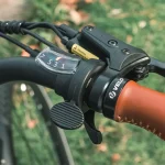 comfortable electric bike