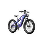 electric bike with a color-changing frame
